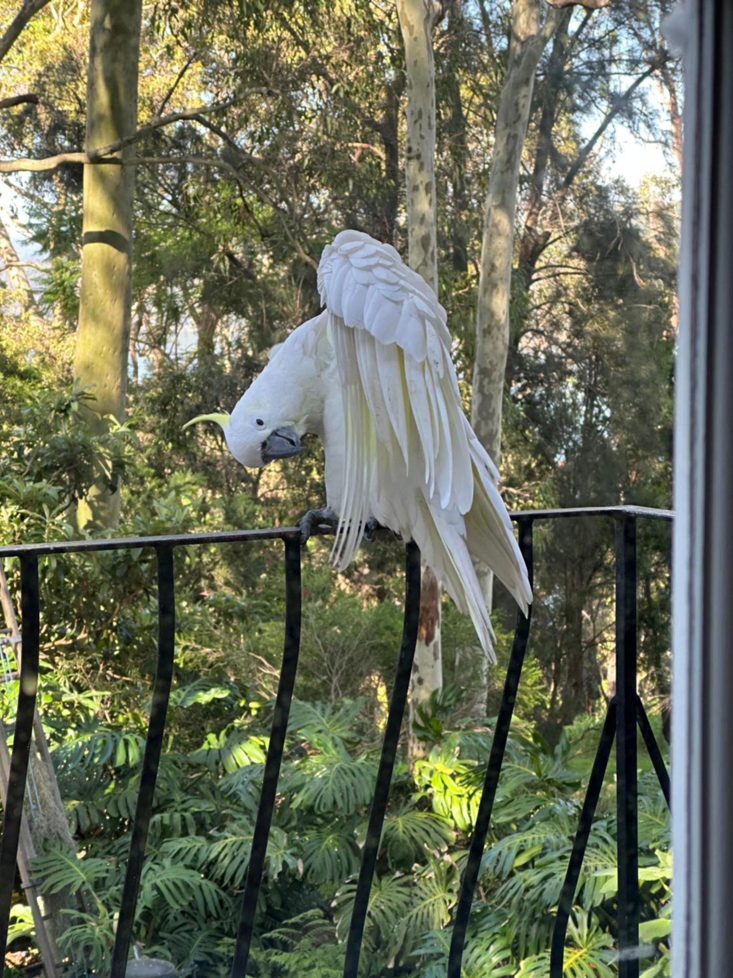 Palm Beach Bed & Breakfast Bagian luar foto