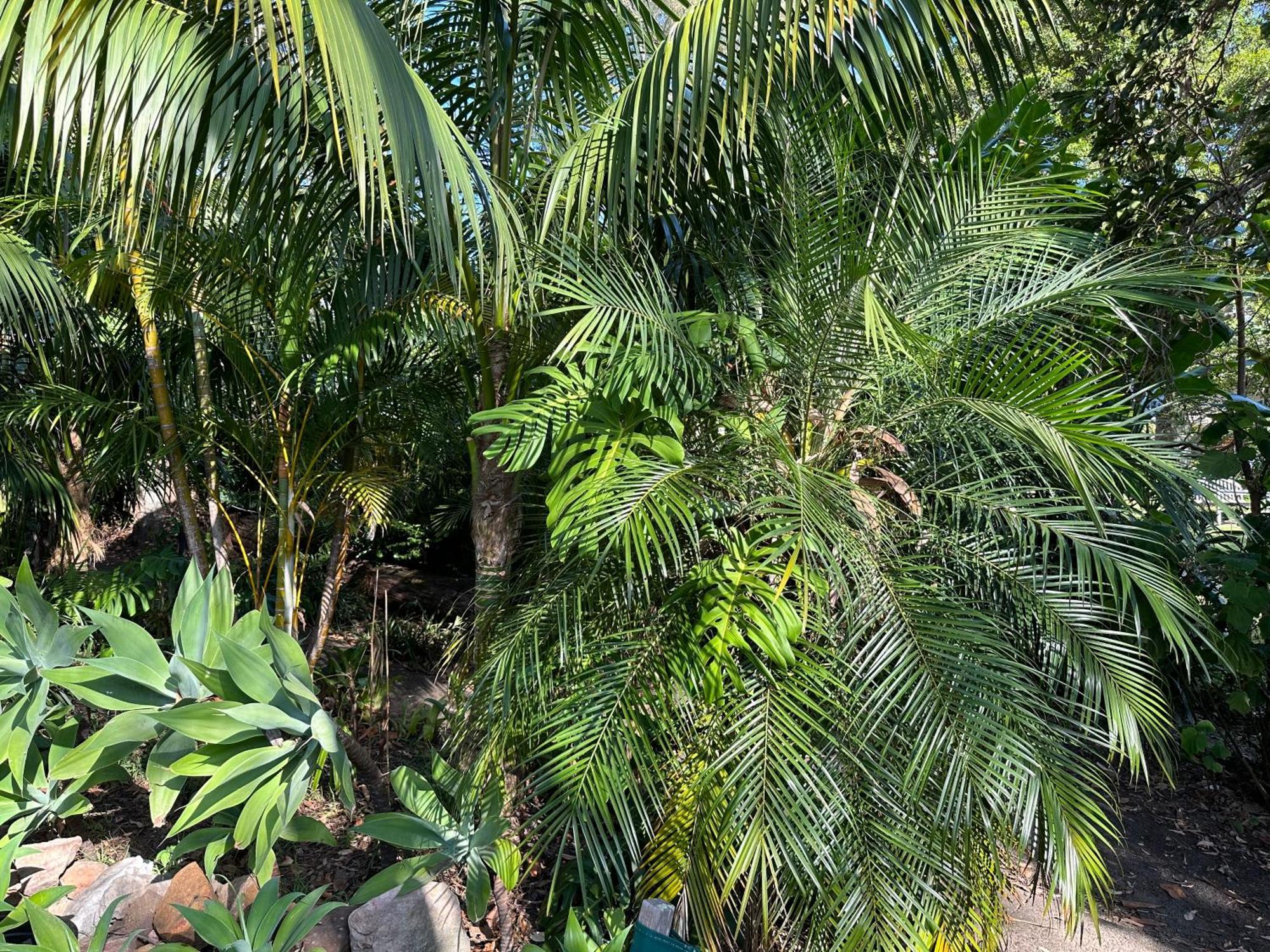 Palm Beach Bed & Breakfast Bagian luar foto