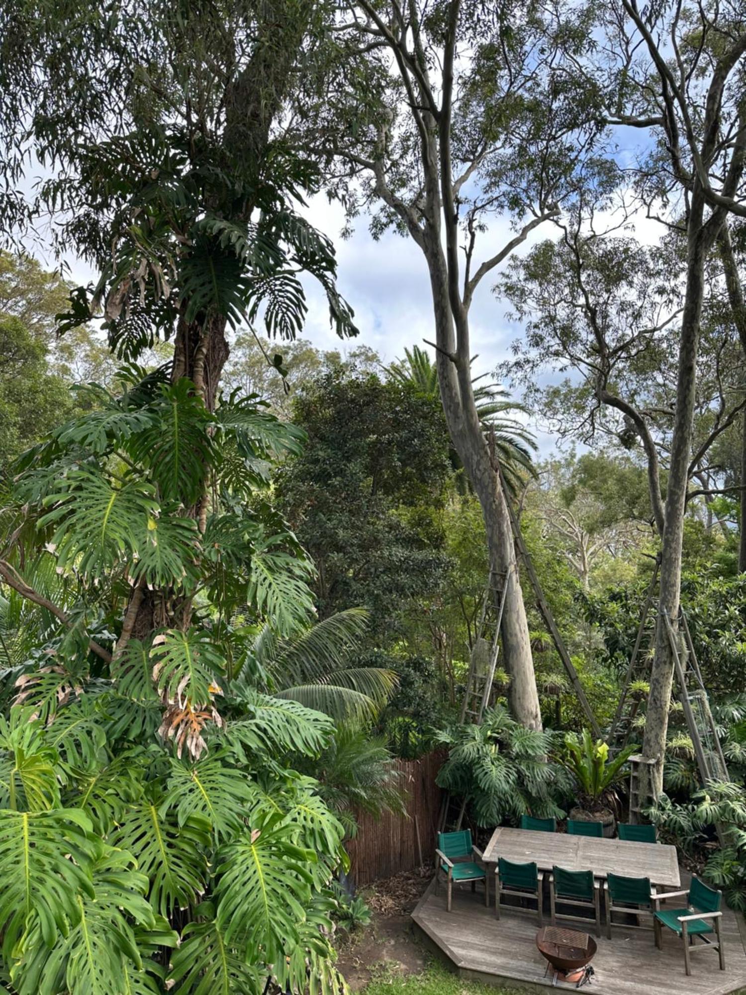 Palm Beach Bed & Breakfast Bagian luar foto